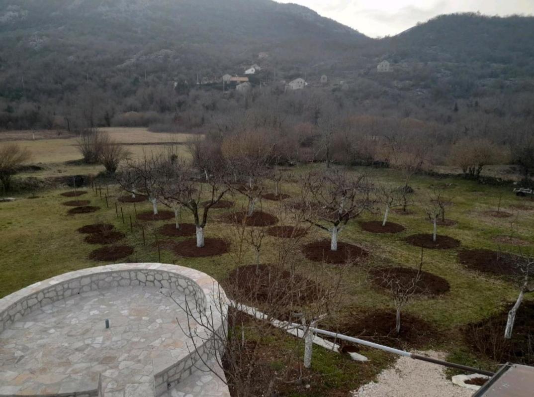 Aleksa ξενώνας Τσέτινιε Εξωτερικό φωτογραφία